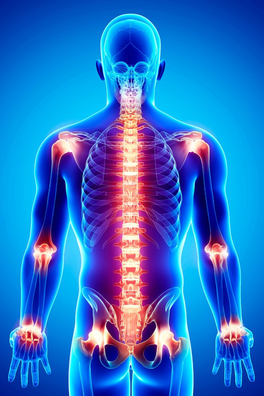 Facet Joint Procedures