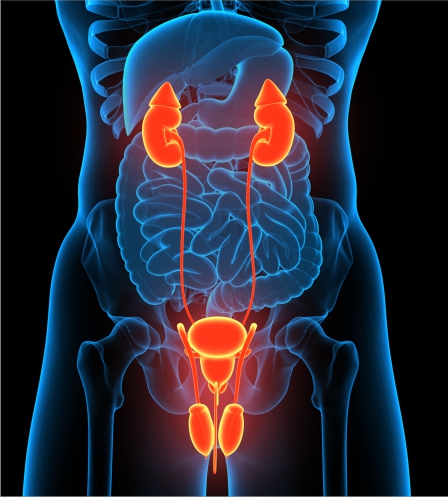 Urology hospital in Pimpri-Chinchwad