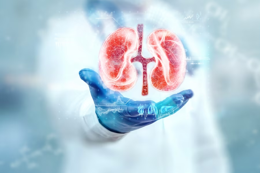 Nephrology Hospital In Pimpri-Chinchwad